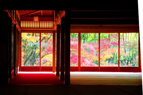 IMGP6368.jpg (60055 バイト)