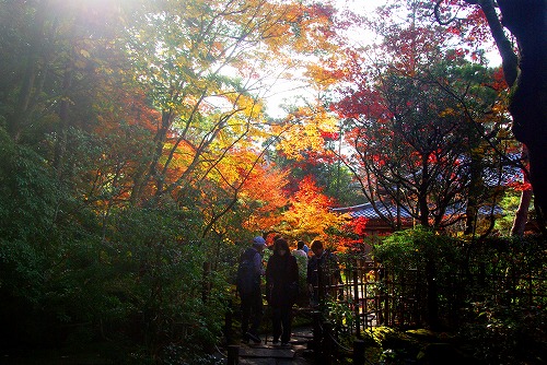 IMGP6383.jpg (99394 バイト)