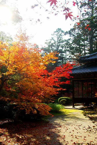 IMGP6389.jpg (98344 バイト)