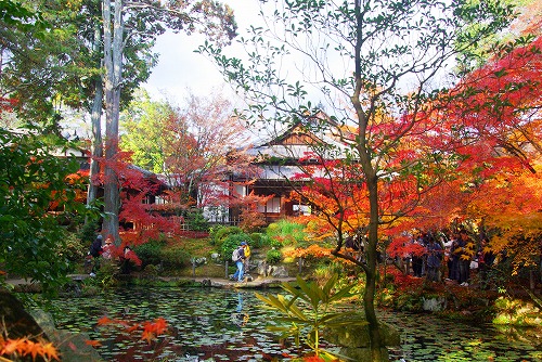 IMGP6395.jpg (126490 バイト)