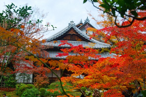 IMGP6400.jpg (102208 バイト)