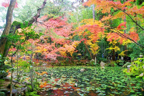 IMGP6406.jpg (134189 バイト)