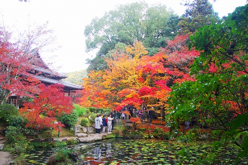 IMGP6407.jpg (108460 バイト)