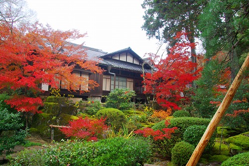 IMGP6410.jpg (104629 バイト)