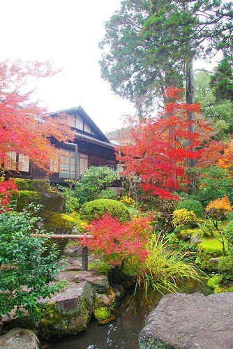 IMGP6412.jpg (100735 バイト)