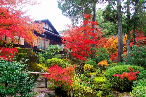 IMGP6413.jpg (126281 �o�C�g)