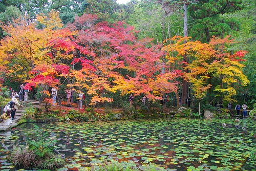 IMGP6420.jpg (124817 バイト)