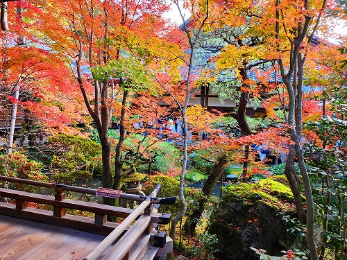 20251126_145117.jpg (152561 �o�C�g)