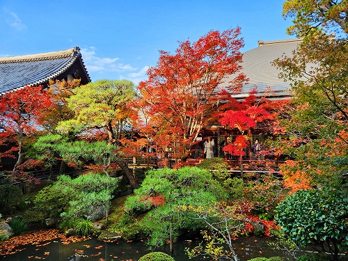 20251126_145355.jpg (131576 �o�C�g)