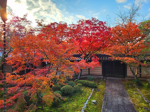 20251126_145514.jpg (124595 �o�C�g)