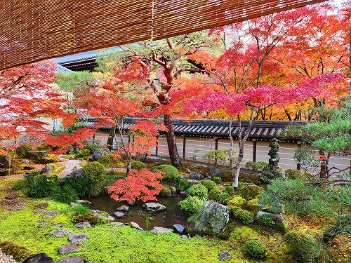 20251126_145529.jpg (151862 �o�C�g)