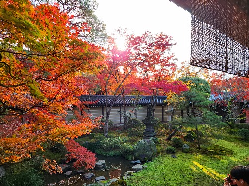 20251126_145606_001.jpg (127574 �o�C�g)