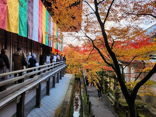 20251126_145723.jpg (126291 �o�C�g)