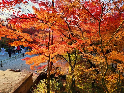 20251126_145851.jpg (155505 �o�C�g)