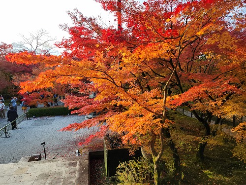 20251126_145900_001.jpg (127305 �o�C�g)