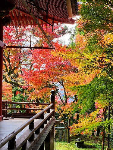 20251126_150254.jpg (141634 �o�C�g)