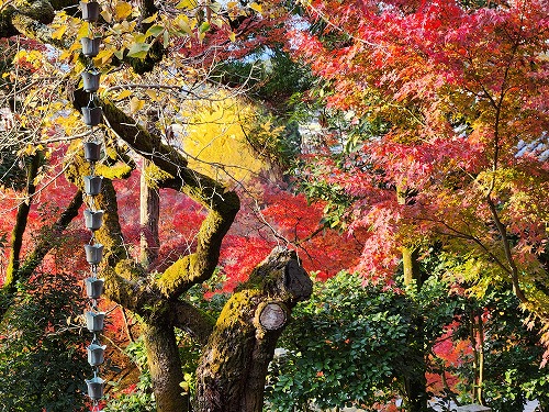 20251126_150445.jpg (161767 �o�C�g)