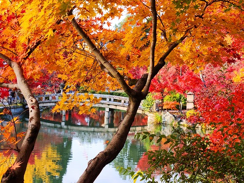 20251126_151404_001.jpg (147190 �o�C�g)