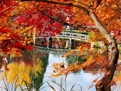 20251126_151411.jpg (147569 �o�C�g)