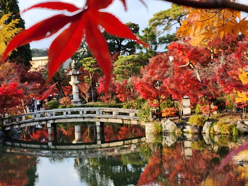 20251126_151436.jpg (103070 �o�C�g)