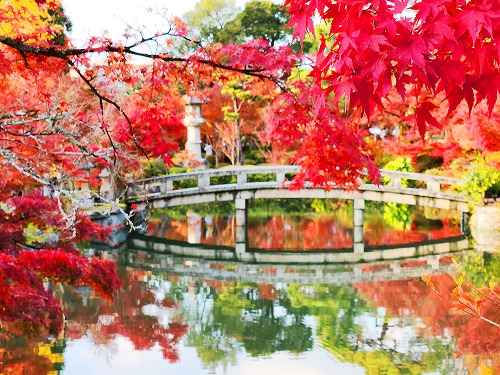 20251126_151503_001.jpg (116520 �o�C�g)