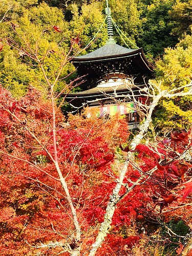 20251126_151550.jpg (157499 �o�C�g)