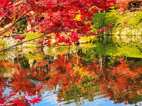 20251126_151611.jpg (154524 �o�C�g)