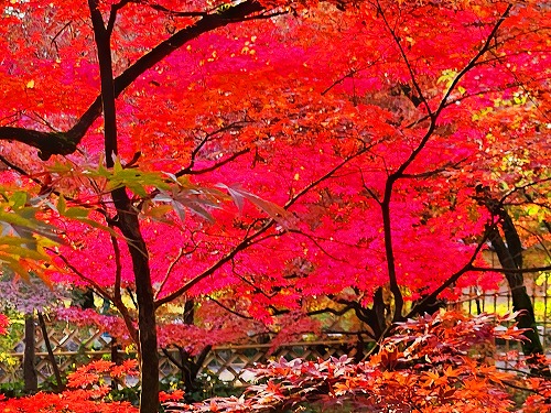 20251126_152240.jpg (137939 �o�C�g)