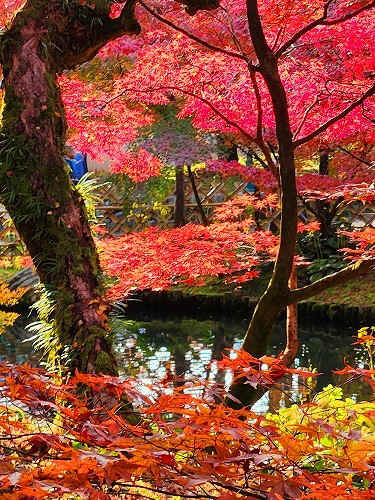 20251126_152251.jpg (137556 �o�C�g)