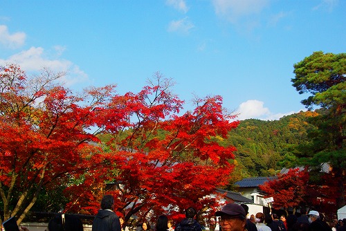 IMGP6436.jpg (82530 �o�C�g)