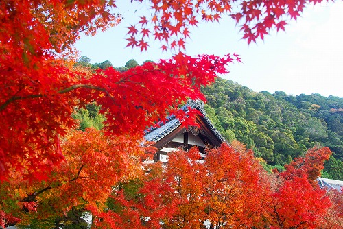 IMGP6443.jpg (105661 �o�C�g)