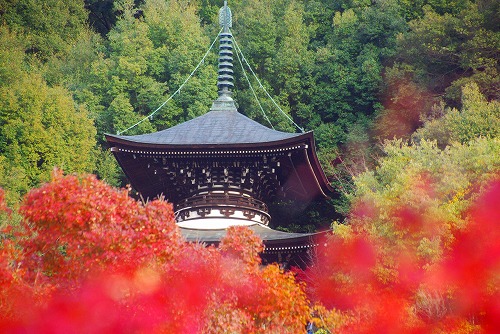 IMGP6464.jpg (95425 �o�C�g)