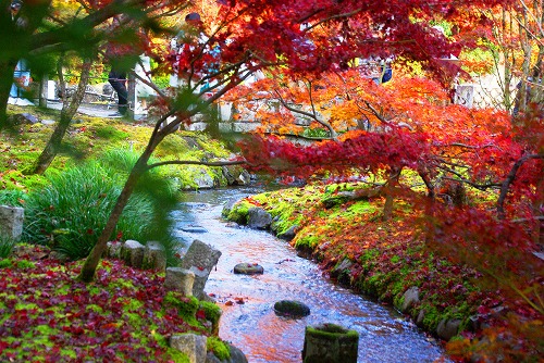 IMGP6469.jpg (117930 �o�C�g)