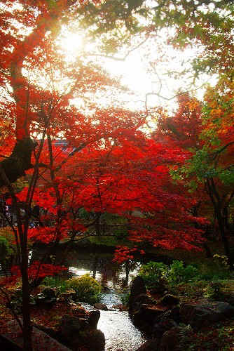 IMGP6477.jpg (99391 �o�C�g)