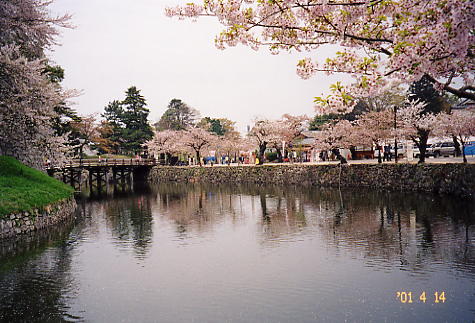 hikone02.JPG (45598 oCg)