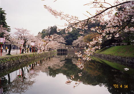 hikone05.JPG (47176 oCg)