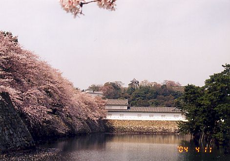 hikone405.jpg (35518 oCg)