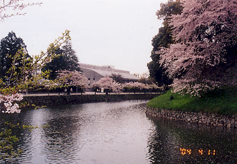 hikone410.jpg (49850 oCg)