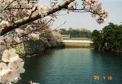 hikone503.JPG (46461 oCg)