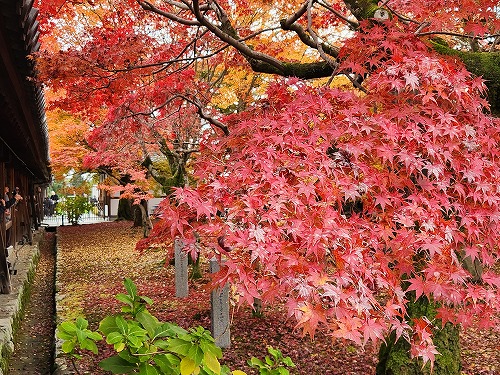 20251126_111319.jpg (149387 バイト)