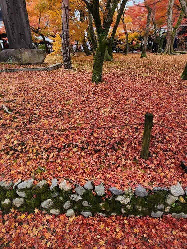 20251126_111411.jpg (146632 バイト)