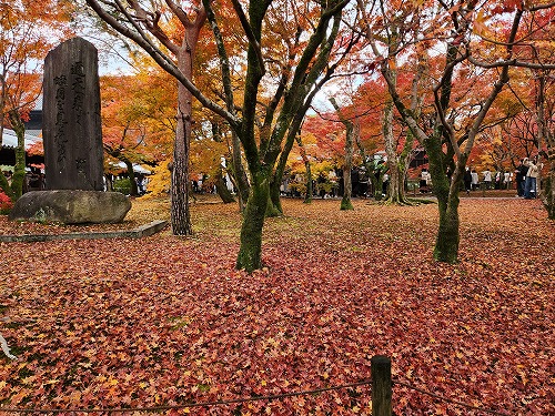 20251126_111432.jpg (154812 バイト)