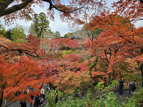 20251126_111836.jpg (146123 バイト)