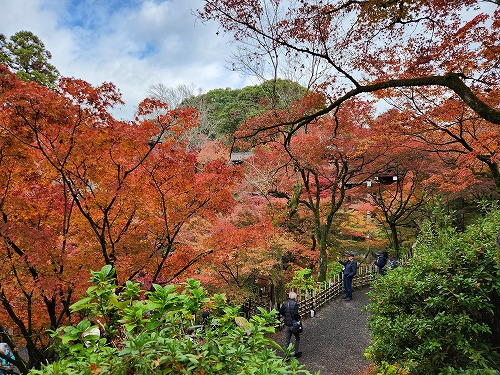 20251126_111856.jpg (140359 バイト)