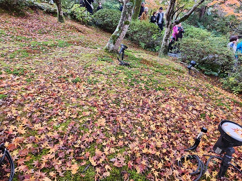 20251126_111949.jpg (160859 バイト)