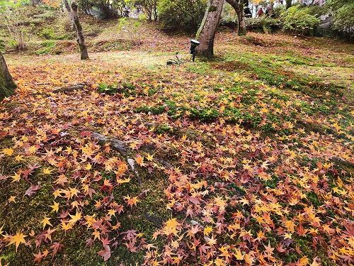 20251126_112033_001.jpg (162375 バイト)