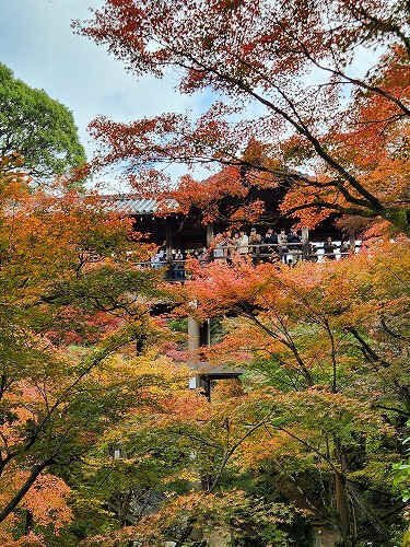 20251126_112358.jpg (143935 バイト)