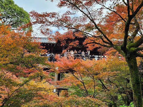 20251126_112409.jpg (151656 バイト)