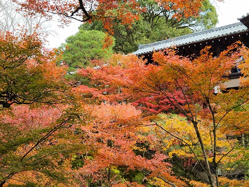 20251126_112434_001.jpg (146905 バイト)