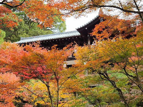 20251126_112437_001.jpg (148975 バイト)